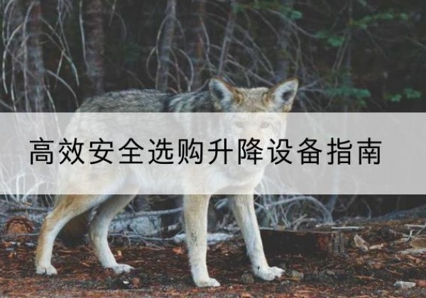 大东升降货梯厂家推荐-*安全选购升降设备指南