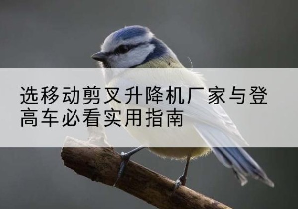 大东电动升降机厂家-选移动剪叉升降机厂家与登高车必看实用指南